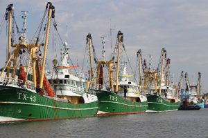 Vissersboten bij Texel